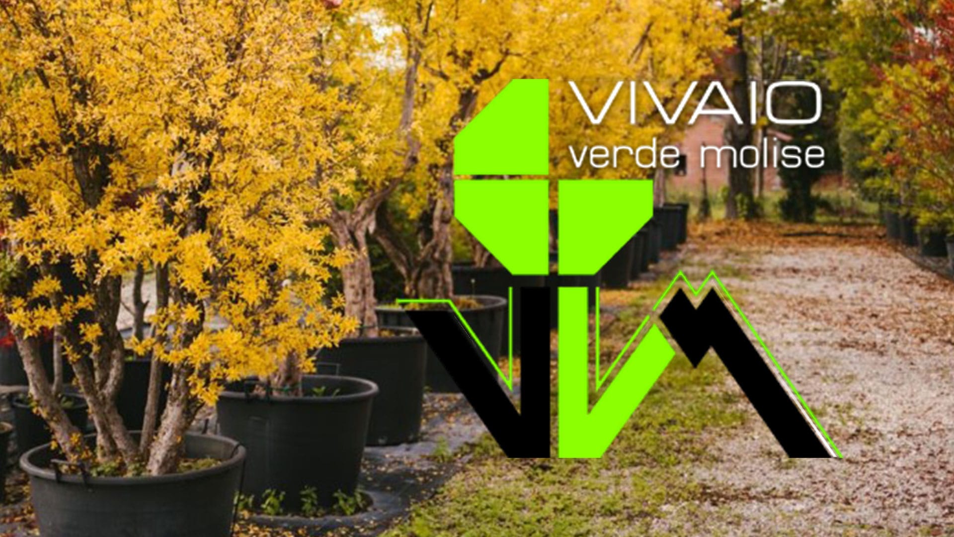 VIVAIO VERDE MOLISE