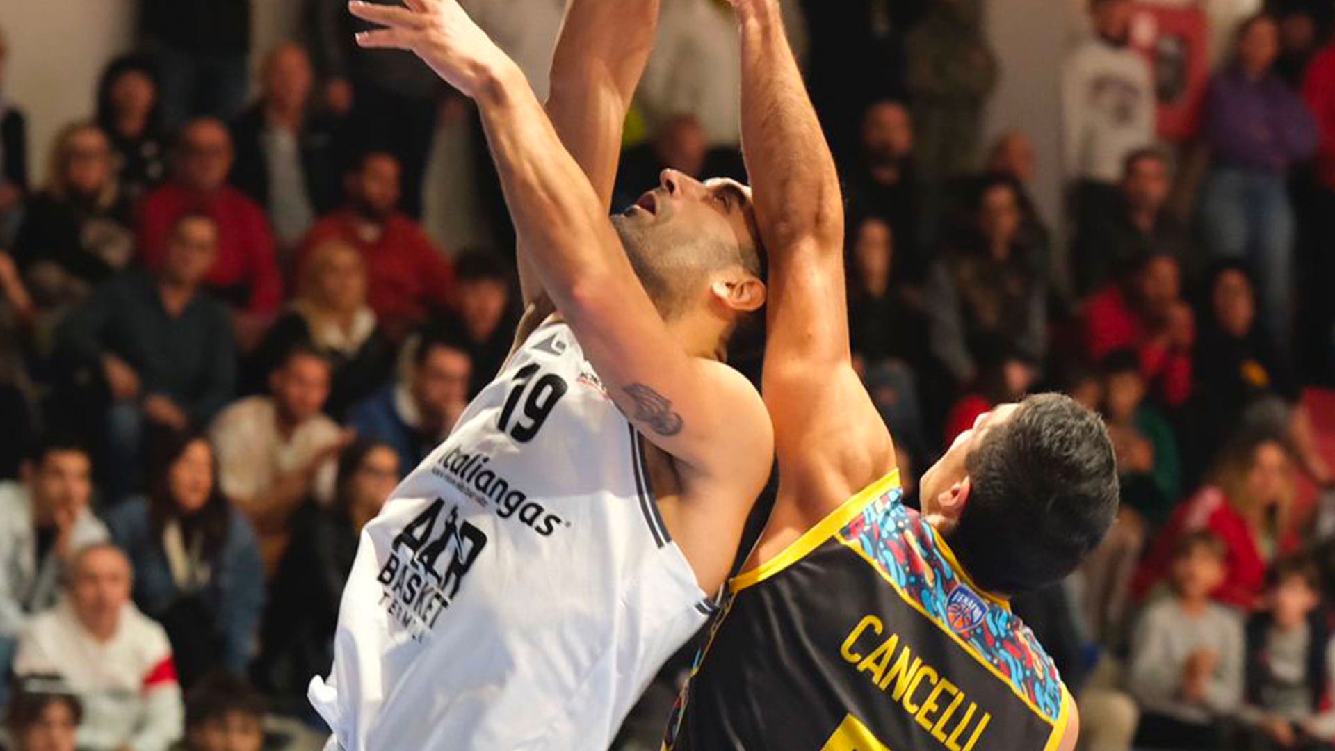 L'AIR BASKET TERMOLI CERCA LA VITTORIA SUL PARQUET DEL TERAMO