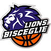Air Basket Termoli